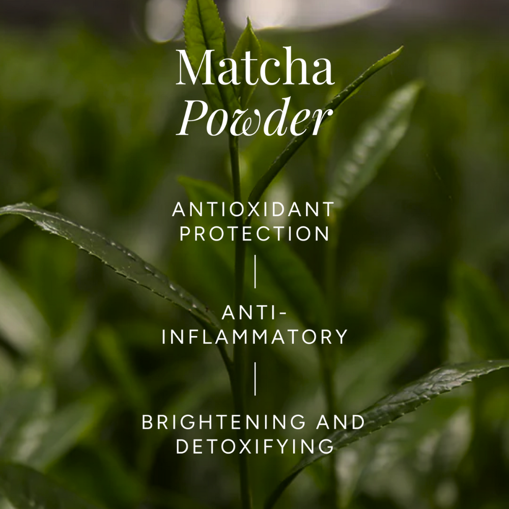 Pureté Greenwash Hydrating Set Enzyme Cleansing Powder + Hydrating Matcha &amp; Sake Essence